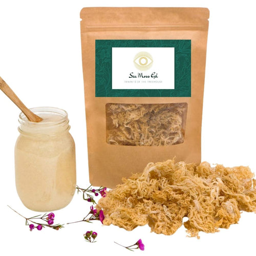 !New! Wildcrafted Sea Moss Gel & Sea Moss Pills